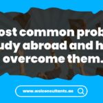 study abroad